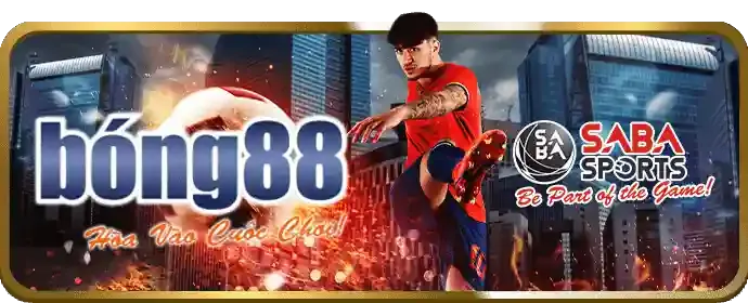 Chương Trình VIP m666